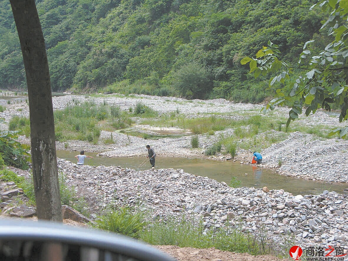 6月2日，柞水杏坪鎮(zhèn)金口村不到十里的河道電魚的就有四伙人