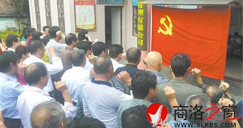 商洛日?qǐng)?bào)黨總支組織黨員重溫入黨誓詞