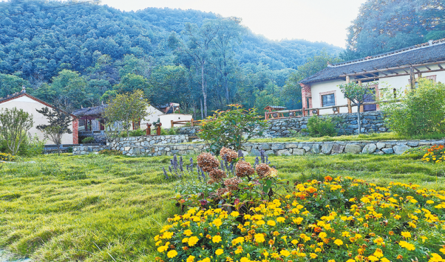 生態(tài)宜居引客來(lái) 返鄉(xiāng)創(chuàng)業(yè)勢(shì)頭足