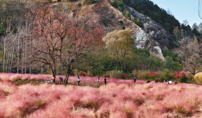 商洛秋日多絢爛