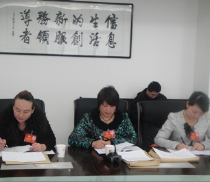 文化、衛(wèi)生界委員認(rèn)真記錄委員討論內(nèi)容