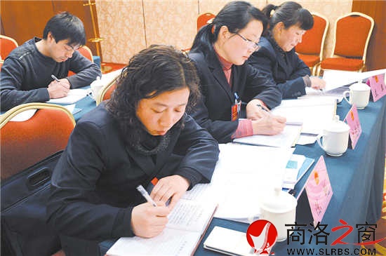 柞水團代表正在認(rèn)真撰寫建議。 （記者 李敏 費翔 攝）