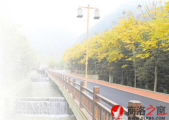 碧水、青竹、黃葉、觀景道，美麗鄉(xiāng)村竹林關(guān)的鄉(xiāng)間小道。