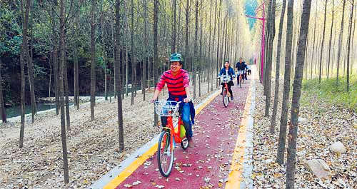 在如畫后灣享受田園慢生活