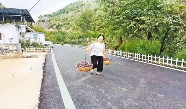 一條柏油路，串起果農(nóng)新生活