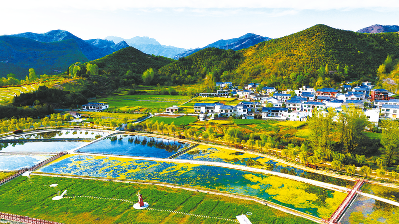 農(nóng)文旅融合，“融”出好光景
