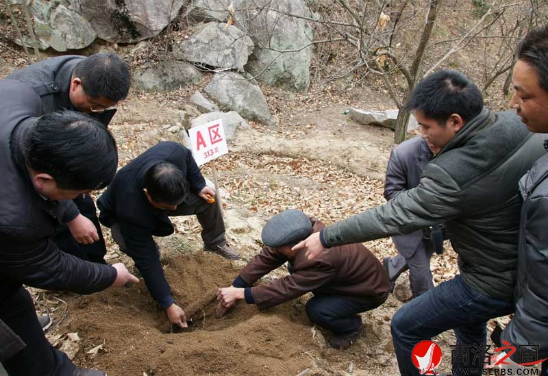 商南縣政府開展送政策、送技術(shù)、送溫暖活動