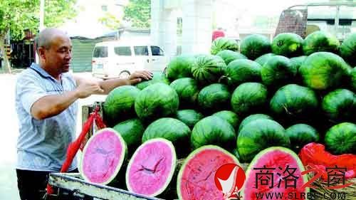 謝小榮把一車的西瓜整理好，準(zhǔn)備開業(yè)。