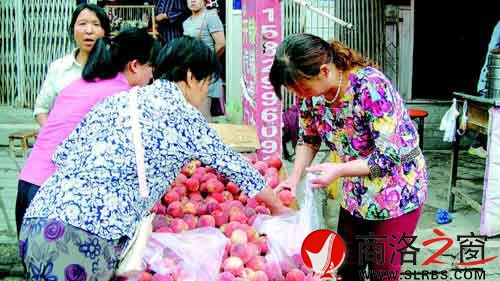 隨處流動(dòng)的小商販也不乏購買者。