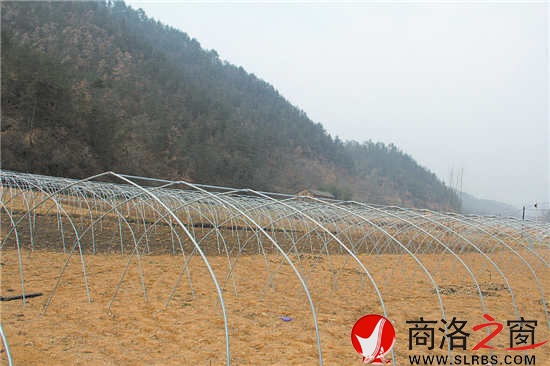 韓子坪食用菌產(chǎn)業(yè)打出了自己的品牌，越來越多的農(nóng)戶愿意加入合作社。圖為正在擴(kuò)建中的香菇基地，鋼筋骨架已經(jīng)搭好。