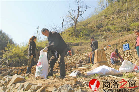 正是種豬苓的時(shí)候,田地里隨處可見(jiàn)種植的農(nóng)戶(hù)。