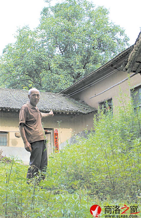 在村里，十有八九的農(nóng)家院落已長(zhǎng)滿了蒿草。留守在村里的人路過(guò)這些院落，會(huì)不由自主地想起院落主人。