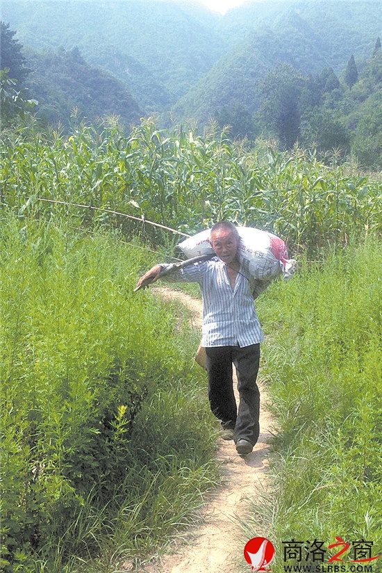 在山林里辛苦了一天，扛著沉甸甸的山貨，臉上的喜悅心情溢于言表。