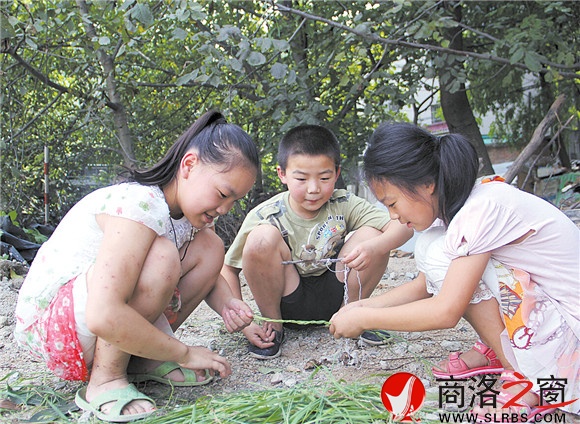 黃沙嶺腳下，胡昊和小伙伴們正在給一只小鳥用草編籠子。