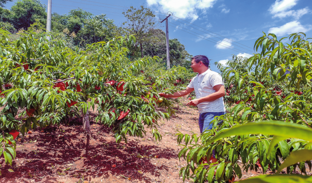 雙龍村 種養(yǎng)結(jié)合開辟致富新路徑